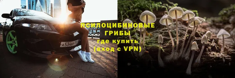 Галлюциногенные грибы Magic Shrooms  hydra ссылка  Пермь 